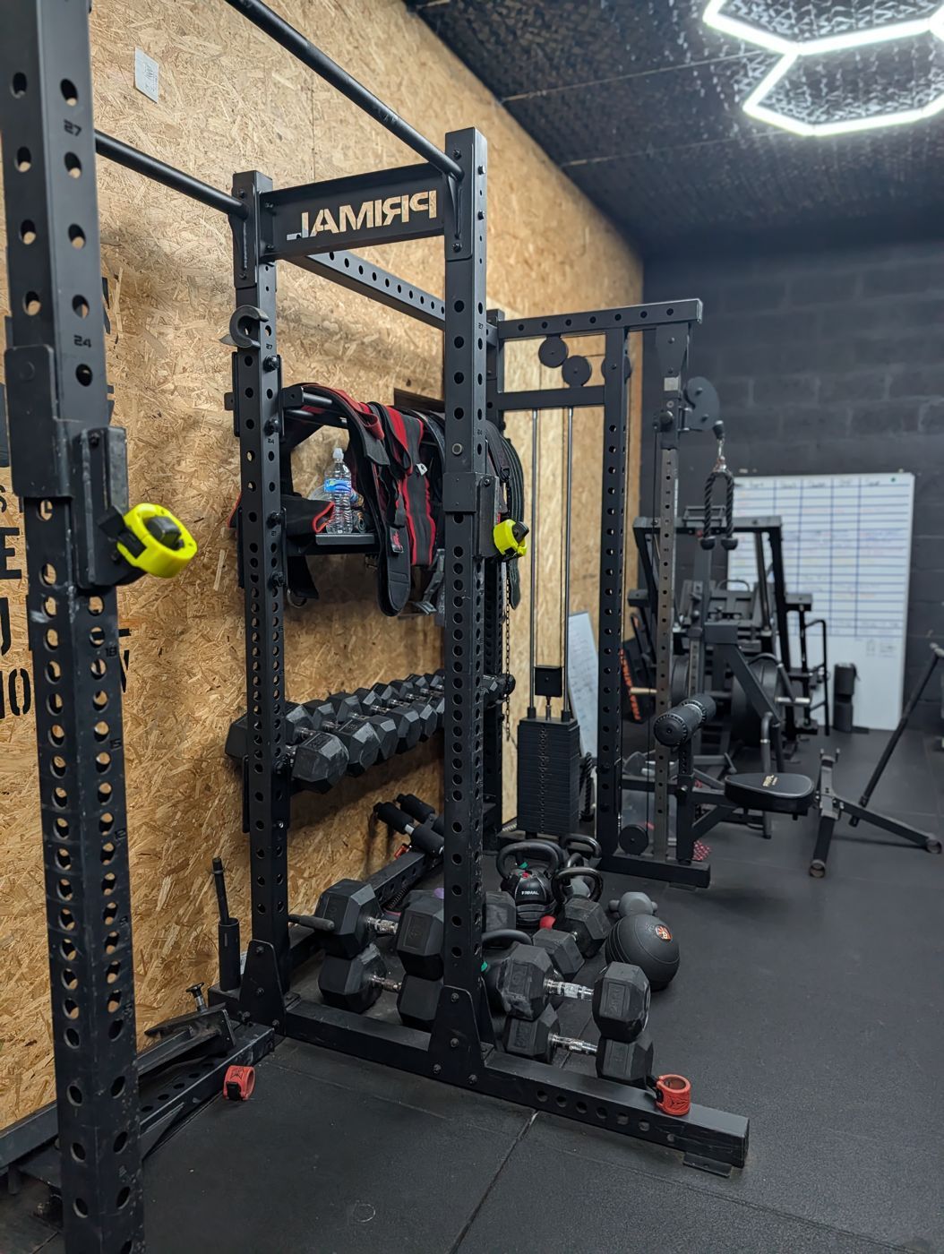 Primal squat rack with dumbbells