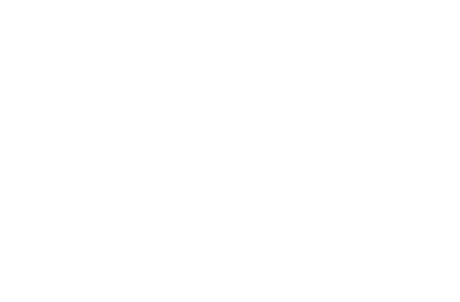 WSF Gym logo